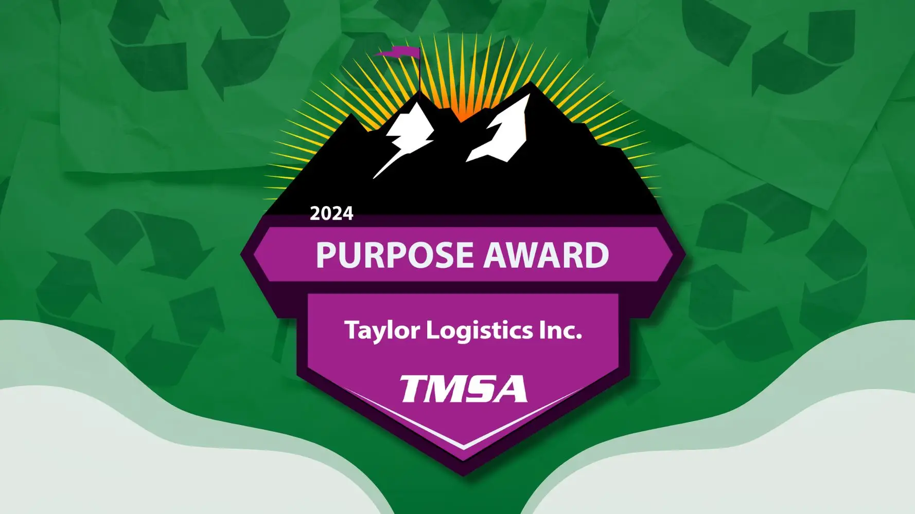 TMSA Purpose Award 2024