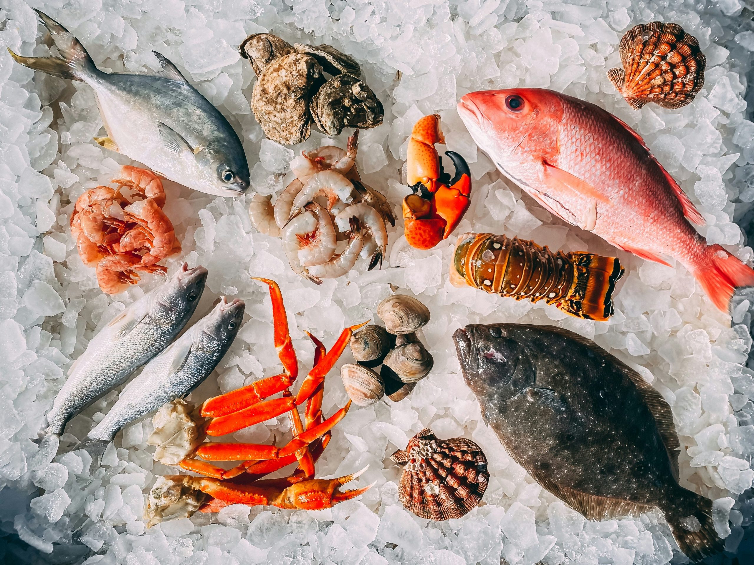 Seafood + frozen logistics at Taylor